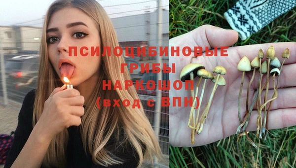 таблы Пролетарск
