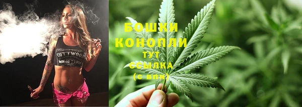 mdpv Елабуга