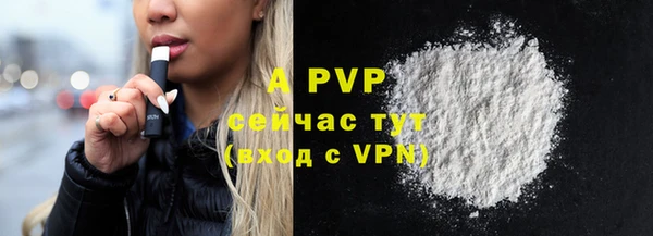мяу мяу мука Елизово