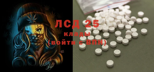 молекула духа Ельня