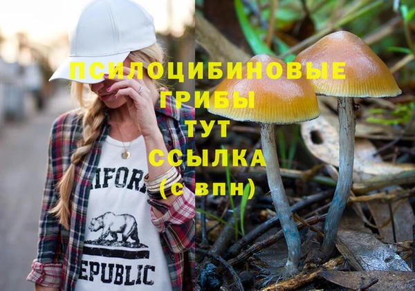 молекула духа Ельня